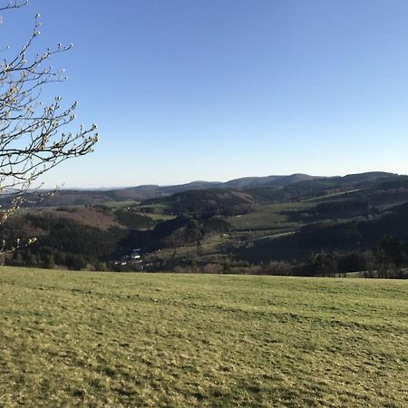 Villa Schwedenhaus Uplandalm Willingen à Willingen  Extérieur photo