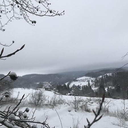 Villa Schwedenhaus Uplandalm Willingen à Willingen  Extérieur photo