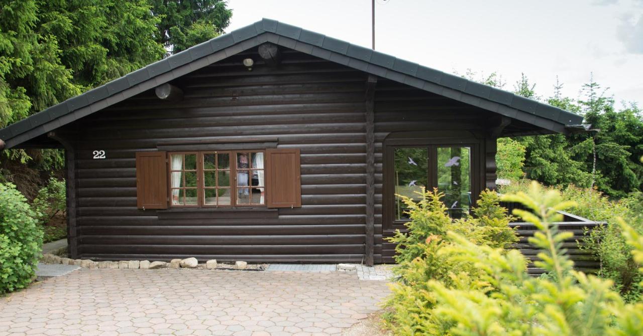 Villa Schwedenhaus Uplandalm Willingen à Willingen  Extérieur photo
