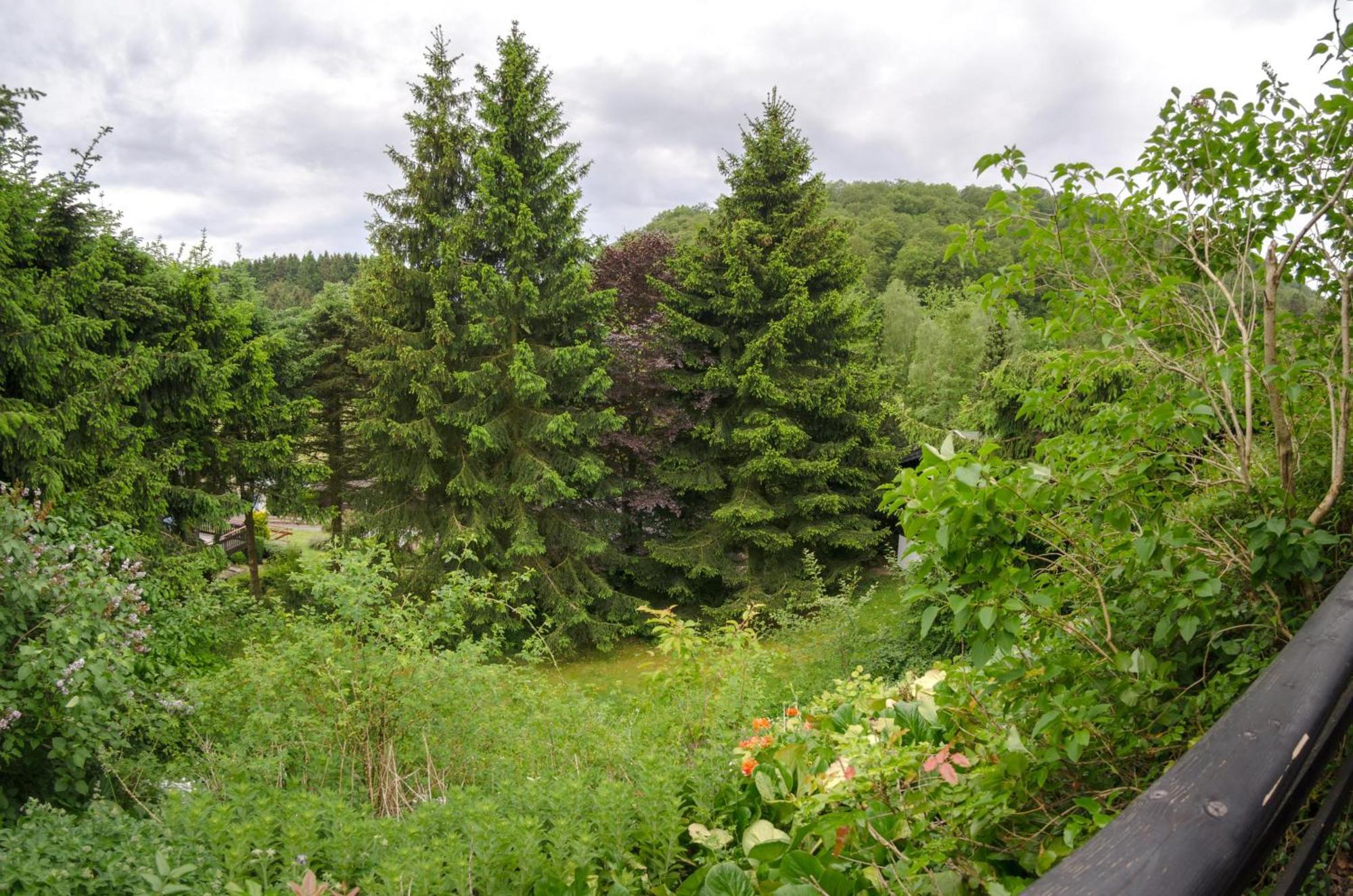 Villa Schwedenhaus Uplandalm Willingen à Willingen  Extérieur photo