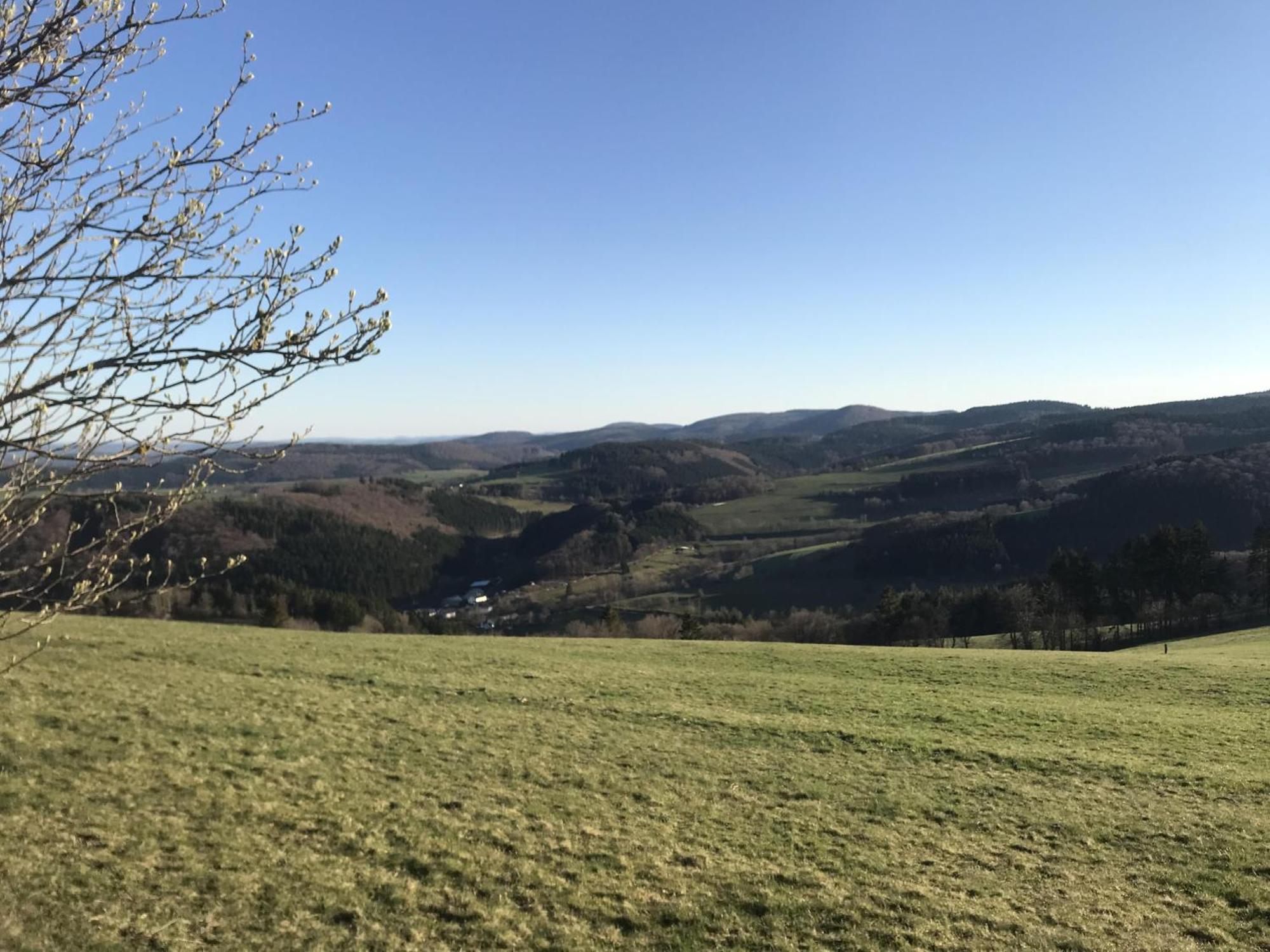 Villa Schwedenhaus Uplandalm Willingen à Willingen  Extérieur photo