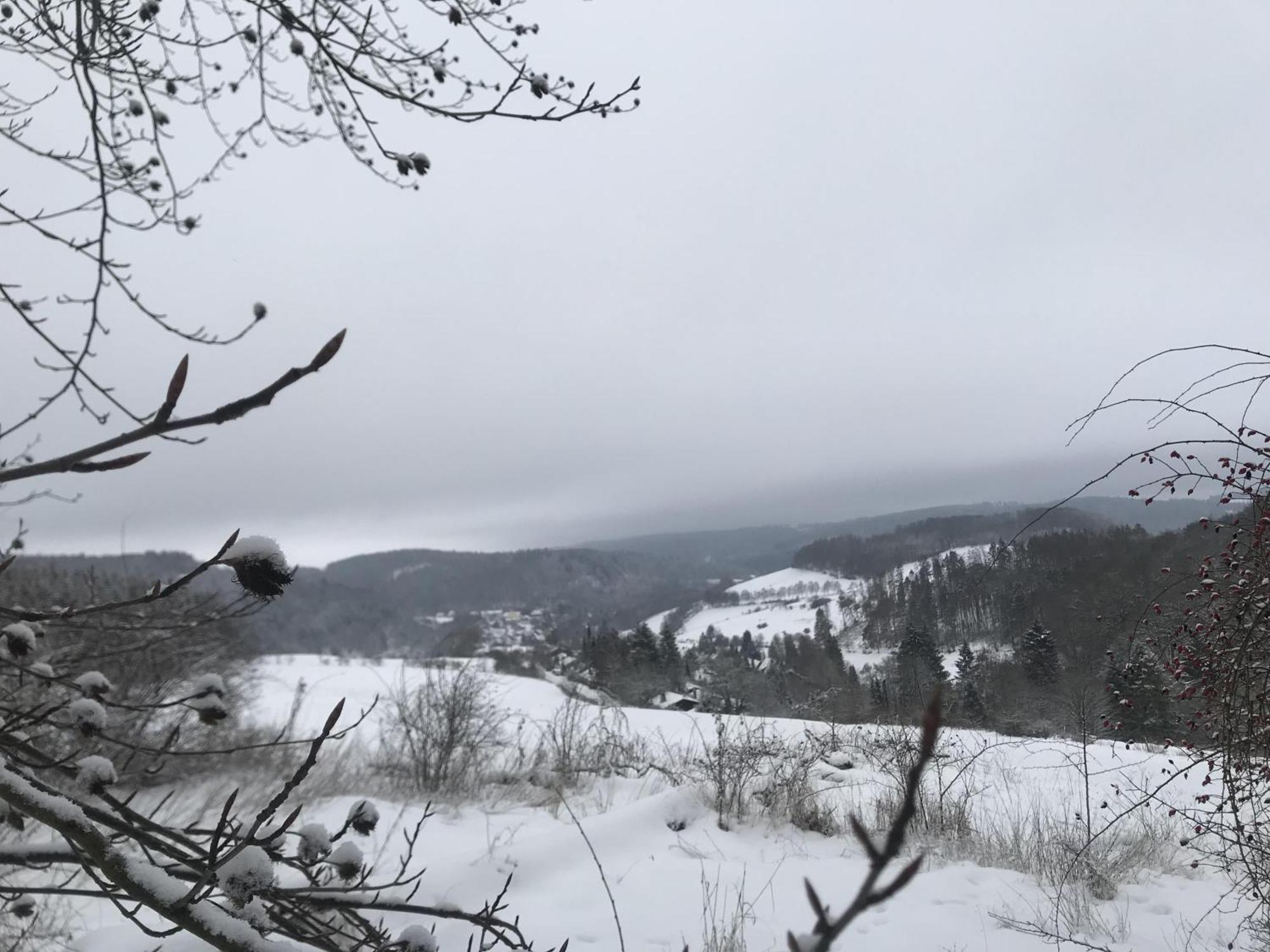 Villa Schwedenhaus Uplandalm Willingen à Willingen  Extérieur photo
